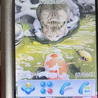 曾经7350元的旗舰机皇，如今二手350元，采用“双键盘”设计