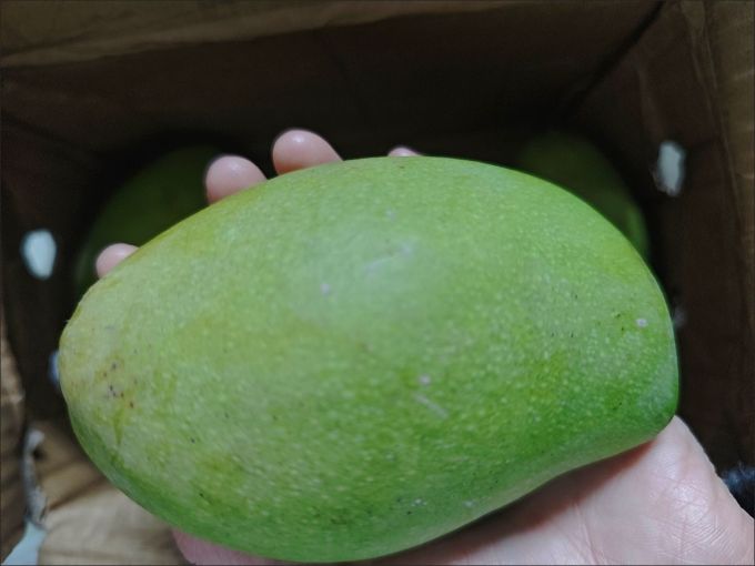 新鲜水果