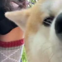 爬山如何摆出生命感姿势