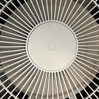 为什么妞在快要到夏天的时候才买了空气净化器