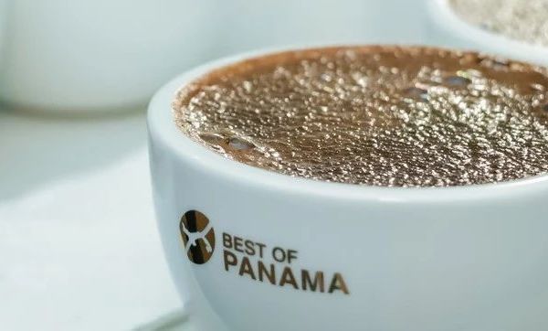 为什么有些咖啡豆这么贵