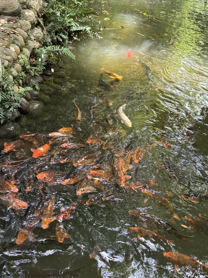 探险者帐篷