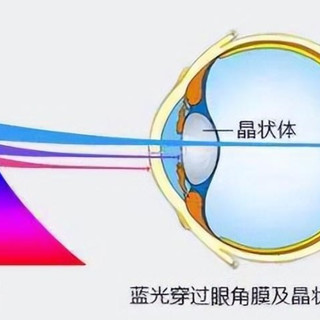 2025哪个品牌护眼台灯性价比高?跟着护眼灯品牌排行前十名闭眼入