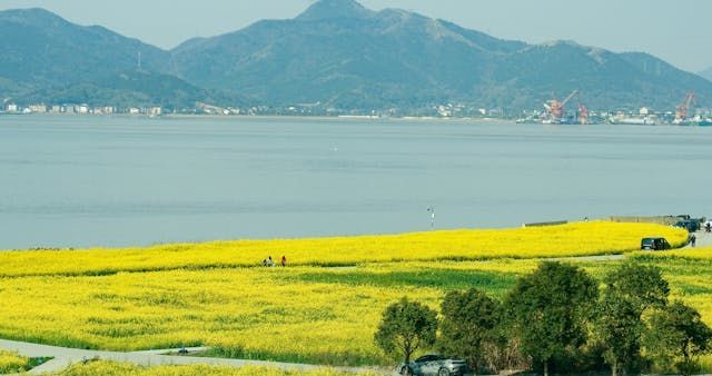 免费开源广告拦截，无Root/免联网