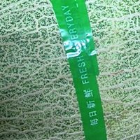 春日时令水果之蜜瓜篇