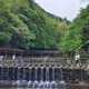天目山五一深度游攻略 | 避开人潮，沉浸式体验自然与禅意