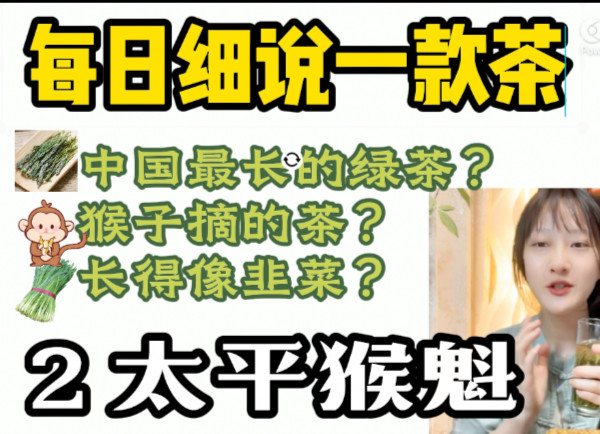 今天唠唠太平猴魁～通俗易懂新茶客友好