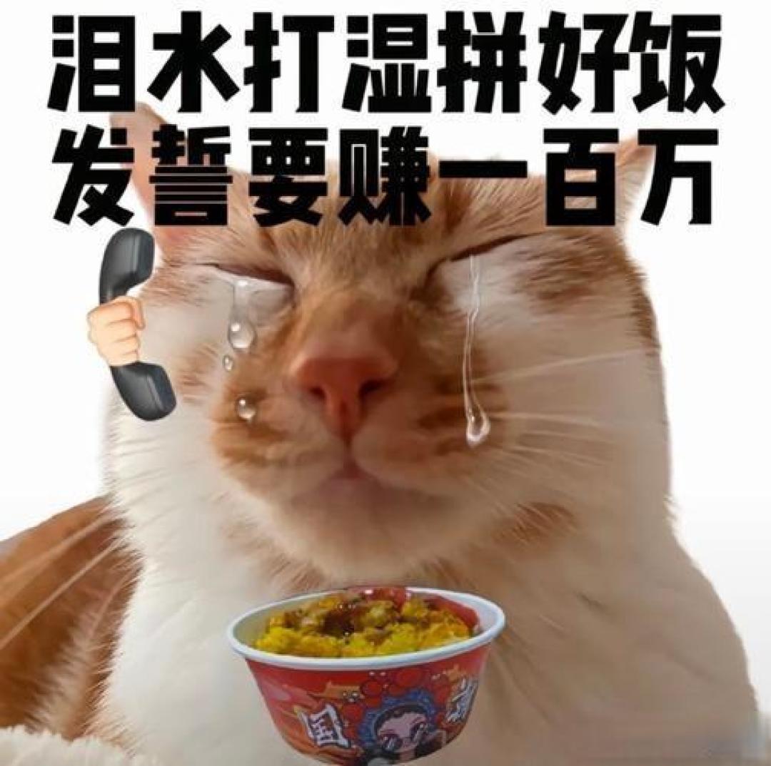 拼好饭进化论：9.9元套餐如何撬动百亿外卖市场
