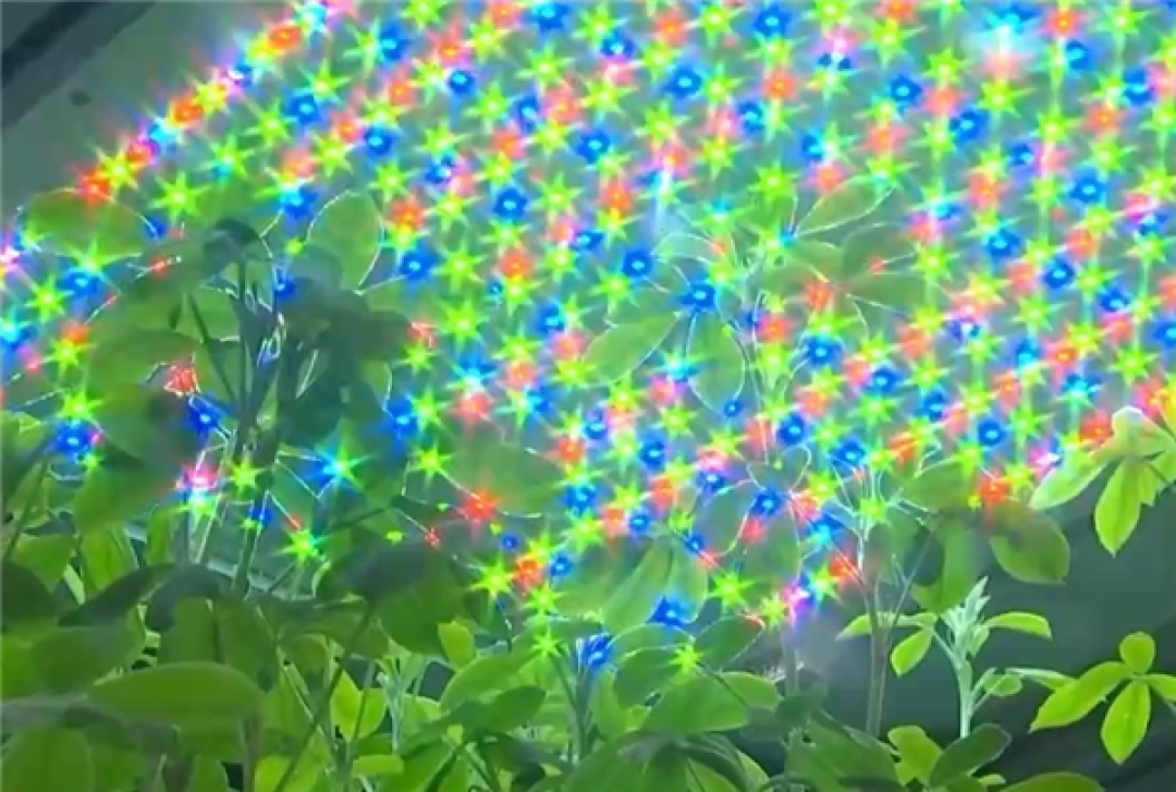 让沙漠成沃土!科学家z轴种菜产量翻100倍