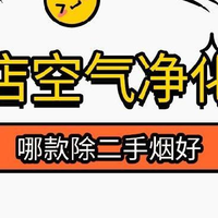 酒店除二手烟空气净化器选哪个牌子好？壁挂式除二手烟效果更好！
