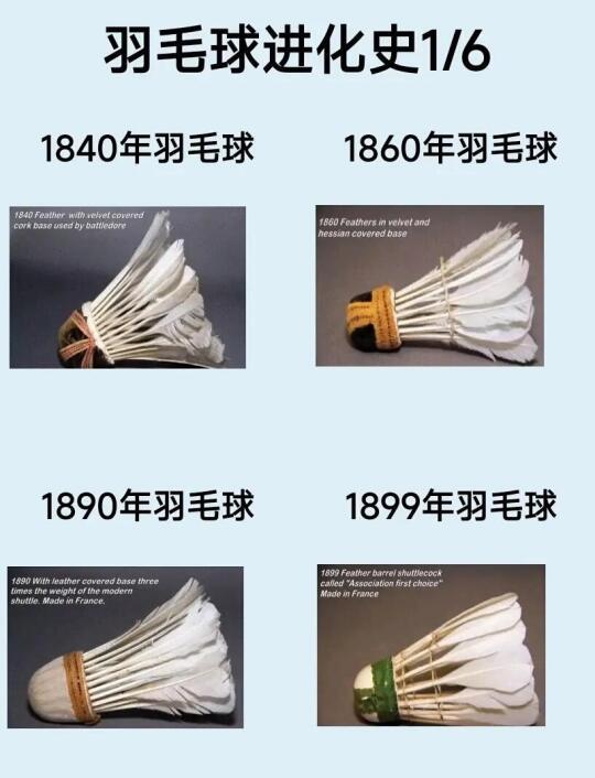 羽毛球的奇妙进化史🏸 从1840到未来