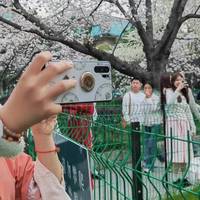 从追着喂钙到科学养娃：一个身高焦虑妈妈的 