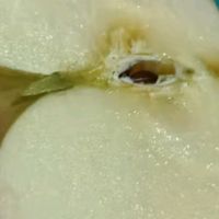 最新优惠