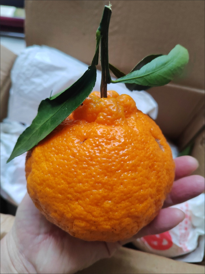 京鲜生新鲜水果