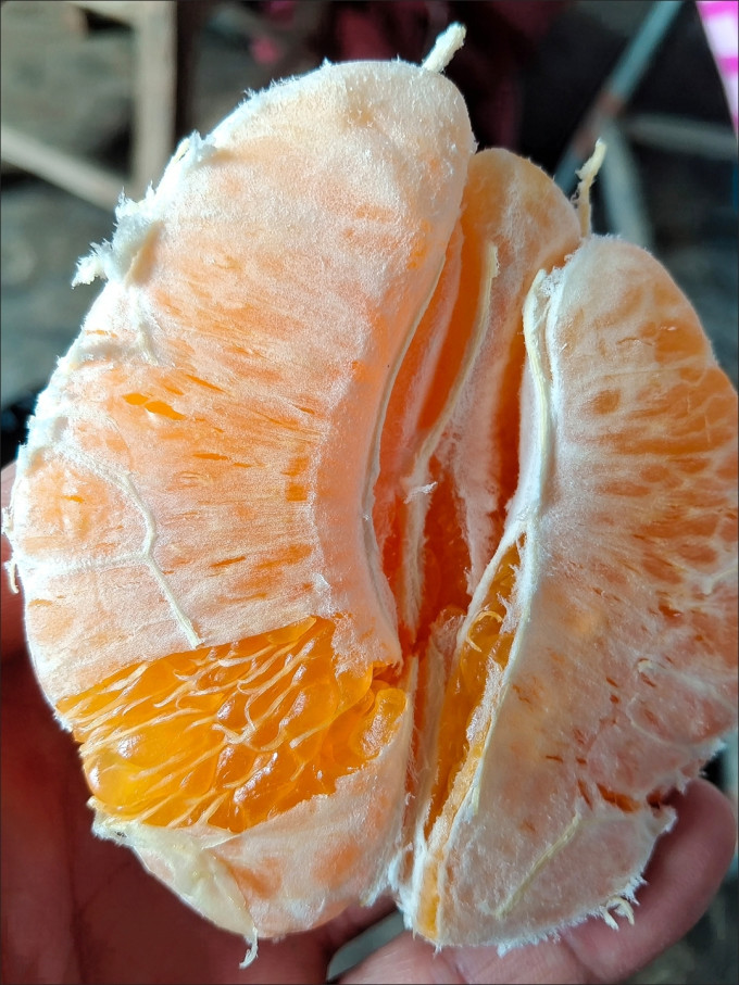 京鲜生新鲜水果