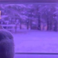 节日氛围组冠军
