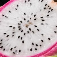 最新优惠