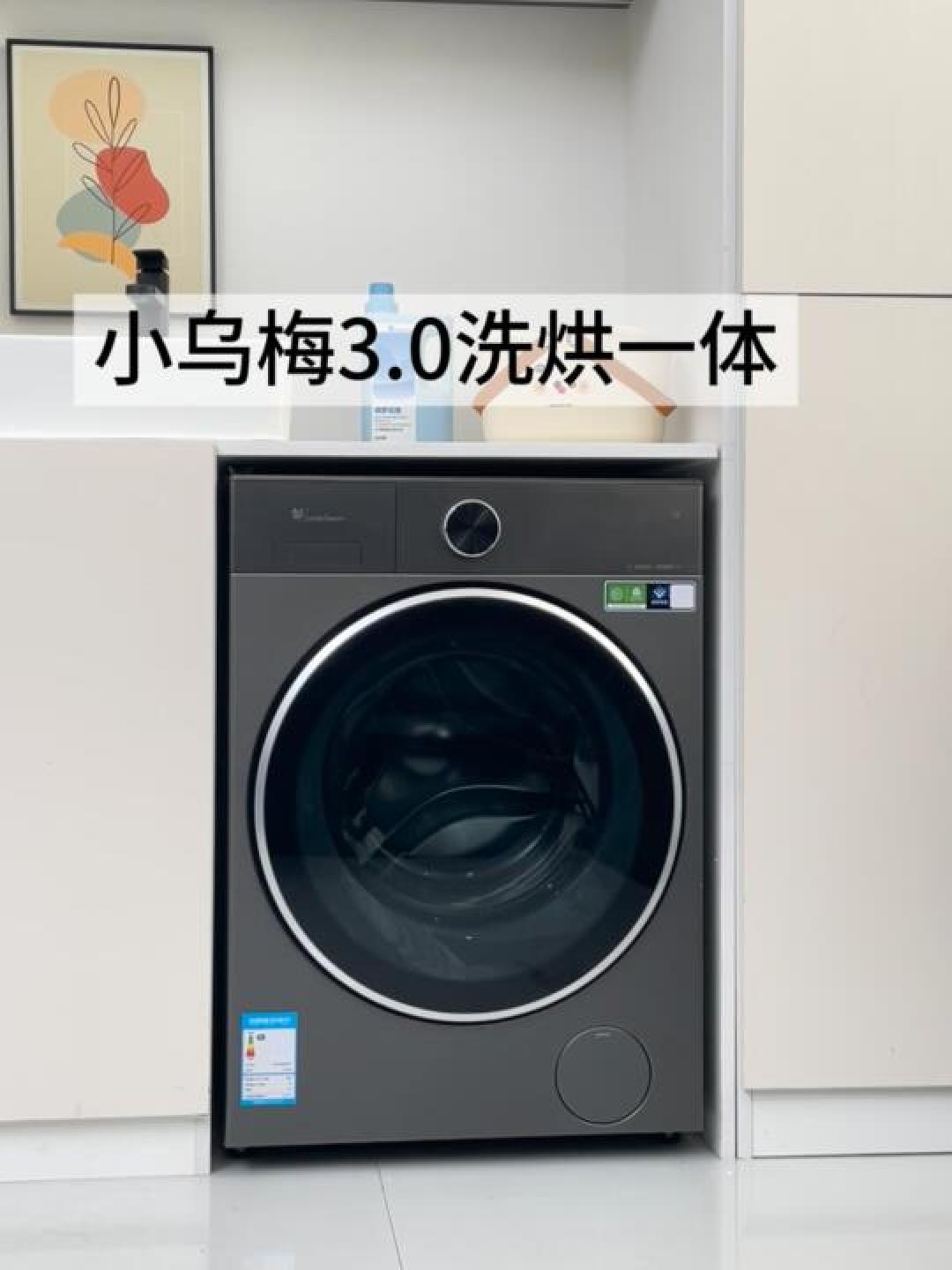 小天鹅小乌梅3.0高奢版发布:革新美学+硬核科技重塑高端洗护标杆