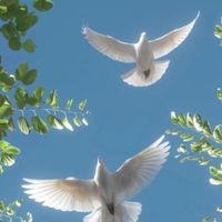 windows自动化神器，免费版也能这么强