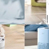 宠物净化器哪个牌子好？全网爆火十大品牌在线公布
 