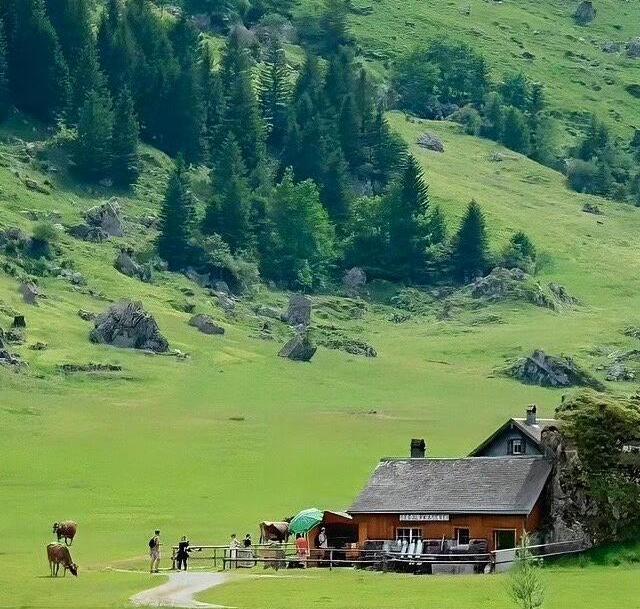 Total Commander中文增强版v11.51 正式版