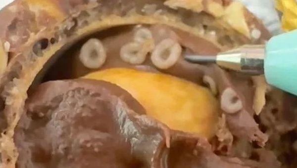 “天塌了！吃了一半，不会真是虫子吧”，知名品牌回应