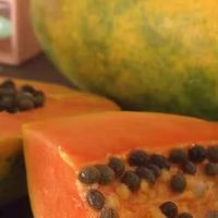 一口沦陷！树上熟海南红心牛奶木瓜的甜蜜暴击