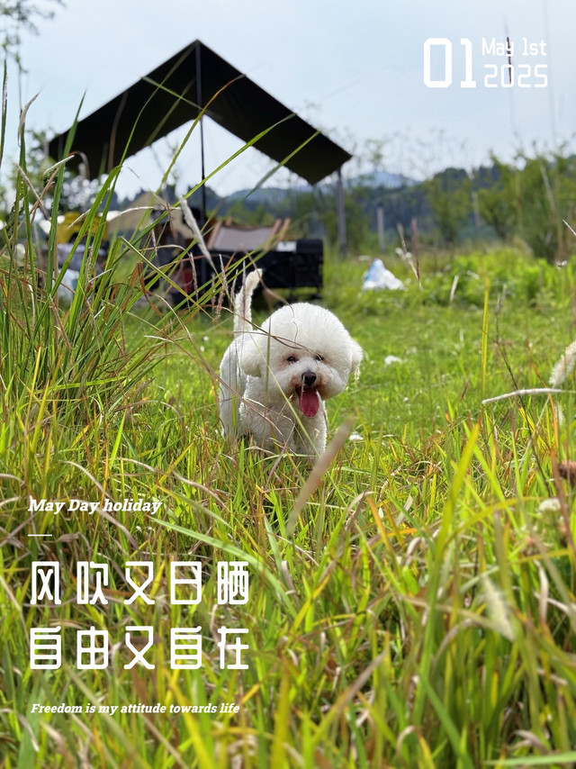 节假日成都金堂沱江露营攻略