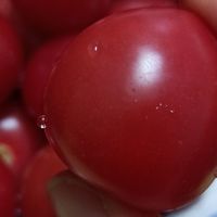 春夏交替，天气炎热，圣女果是冰箱里的“好果子”！