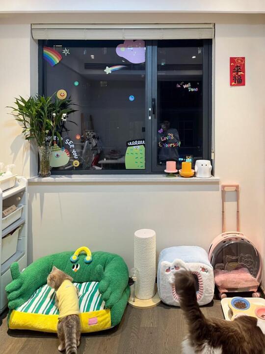 奶油风猫屋|每一个角落都充满爱与温馨