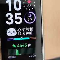 华为手环10 NFC：百元级智能手环的新标杆？