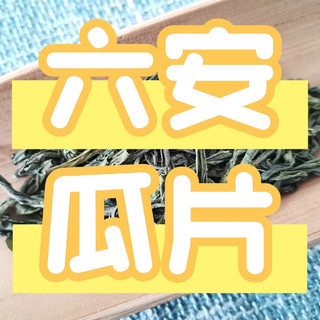 六安瓜片的特点有哪些？徽六潜香600/潜香2000/天青推荐