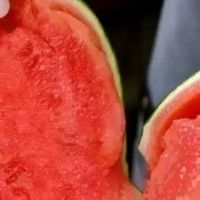 京觅山东手剥冰糖子西瓜介绍