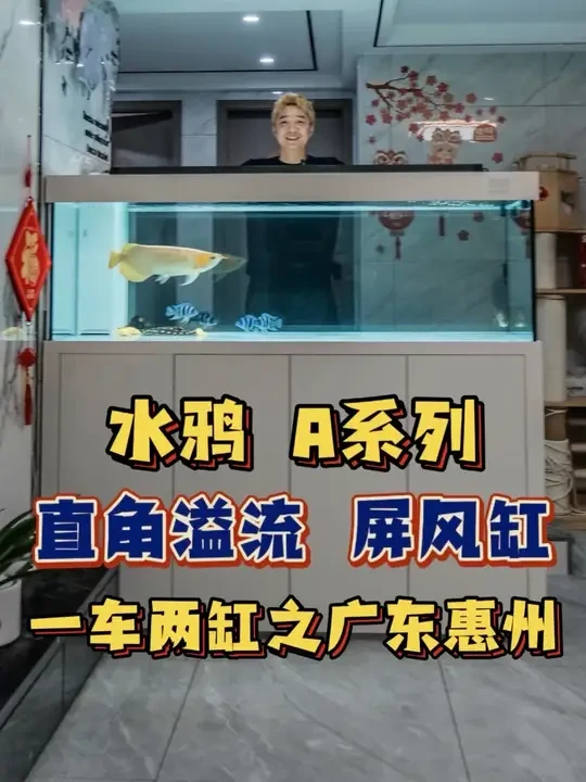 要水鸦有水鸦,要形水有形水
无需对比,大不了两个都买！未完待续
#辰赤龙鱼 #龙鱼 #水族
