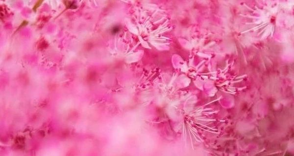 恒源祥羊绒围巾礼盒观察：秋冬季女性礼赠选择与使用场景分析