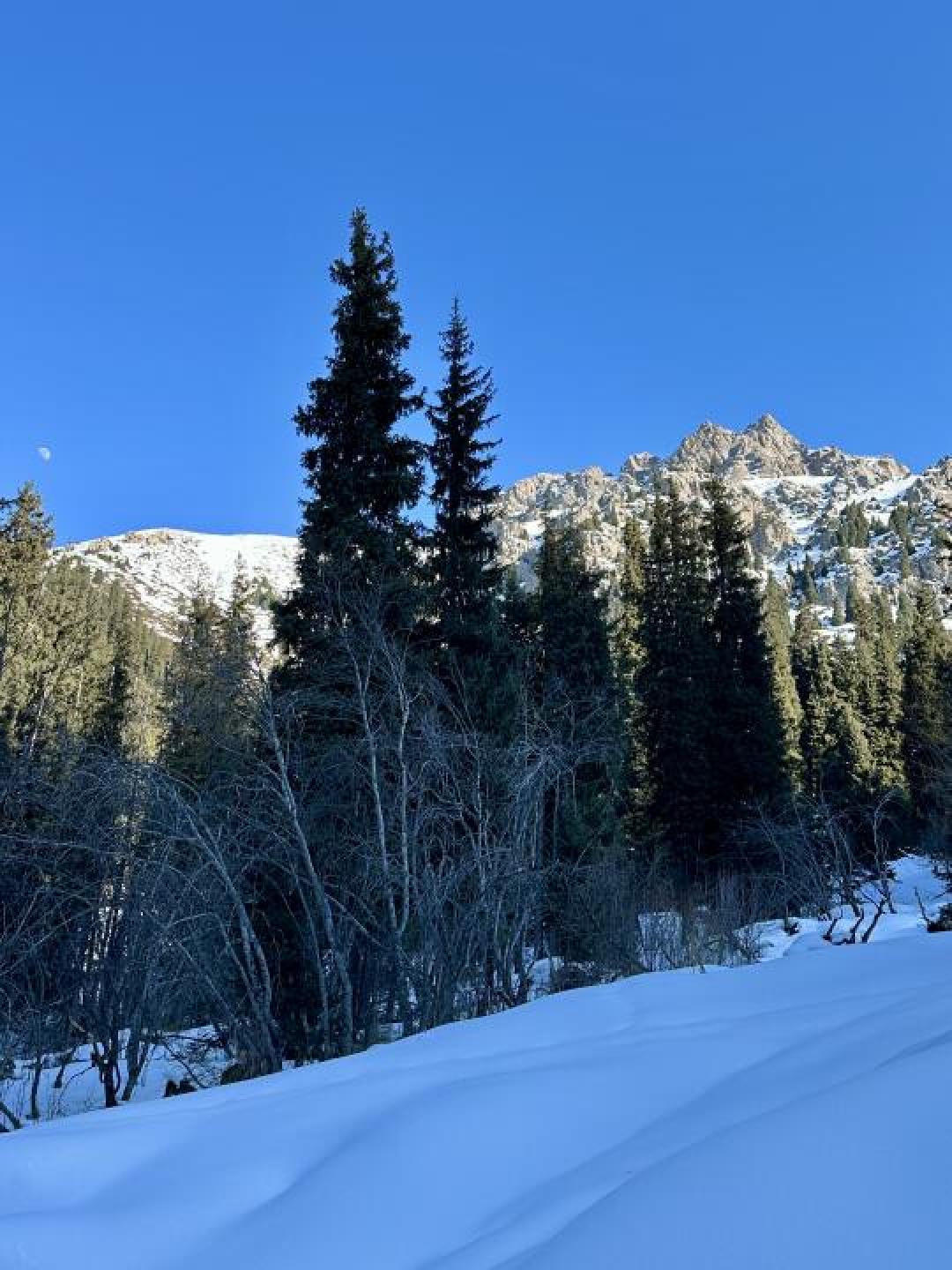 雪山秘境与千年牧歌：探秘哈萨克斯坦冰川徒步的人间烟火