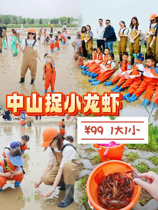 🌾🦞 五一不挤人！带娃下田插秧+捉龙虾