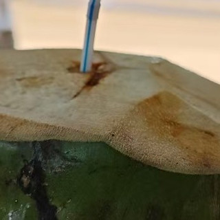 阳光海滩比基尼？还是椰青！