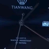 天王（TIAN WANG）手表男 沧海系列钢带石英男表学生手表黑色