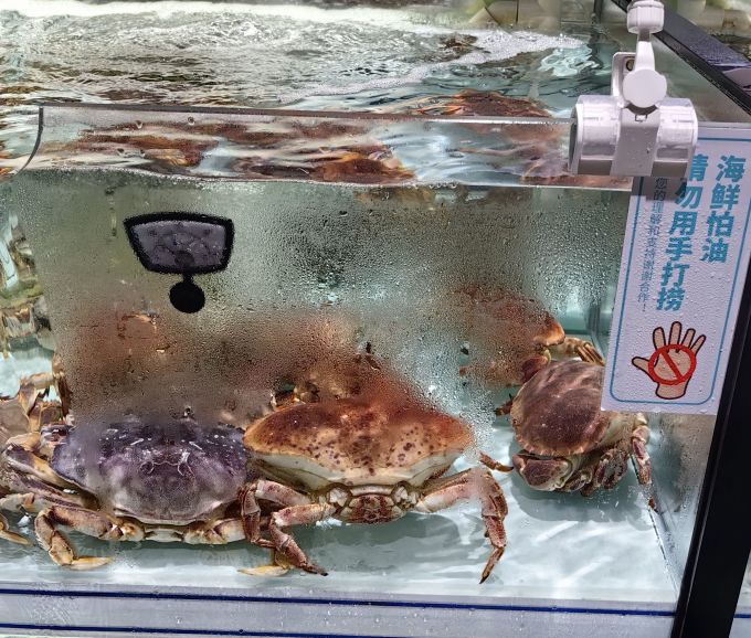 渔传播蟹类