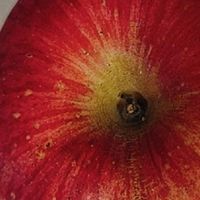 不管在什么季节，我都喜欢吃苹果。