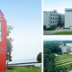 瓷砖胶加盟：建材行业装修领域的财富机遇