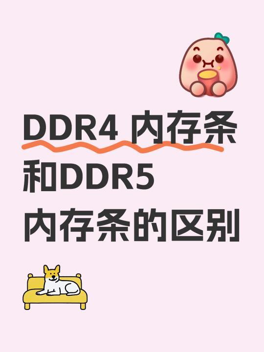 DDR4 内存条和DDR5内存条有何区别？