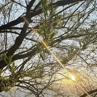圣罗兰高定，香气中的奢华！