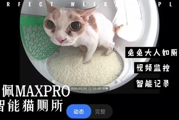 小佩宠物MaxPro智能猫厕所开箱视频，兔兔大人的新厕所！#小佩 #宠物猫 #猫砂