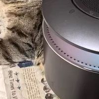 被周深种草的智能音箱，音质真的绝了