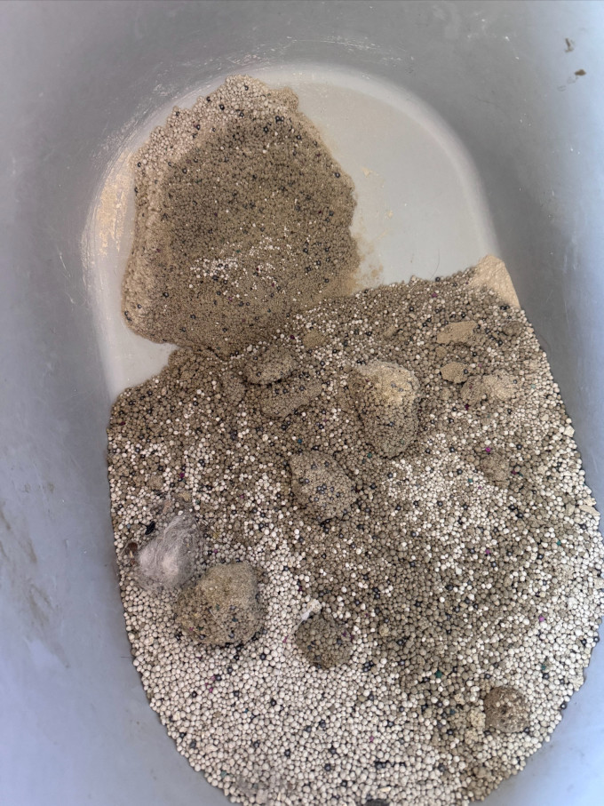 京东京造猫砂