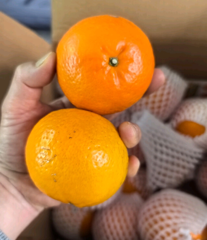 京鲜生新鲜水果
