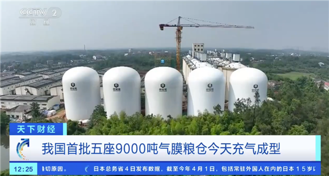 单座储粮够2300万人吃一天!我国首批五座9000吨气膜粮仓充气成型