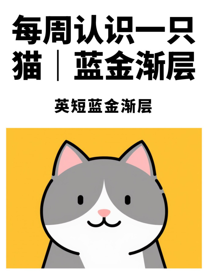 猫咪